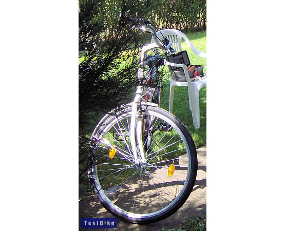 Gepida Reptila 100 2009, eszjudit képe városi/cruiser/fitnesz